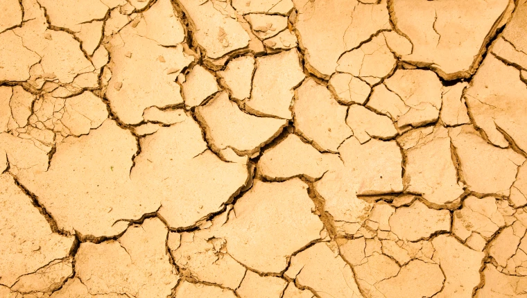 땀이 안 나는 체질